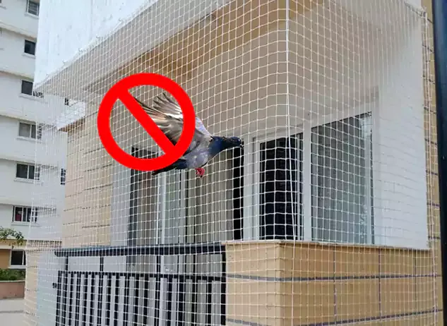 Pigeon Nets